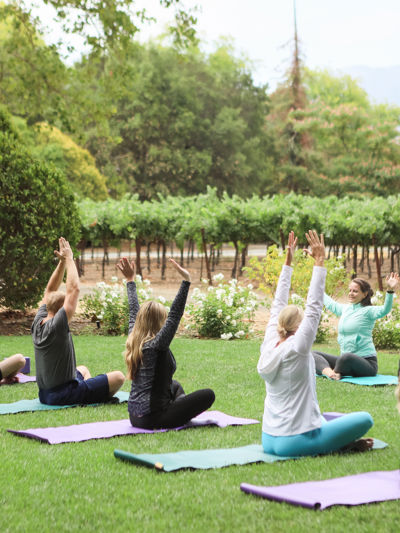Group taking part in an outdoor yoga class on a lawn beside a vineyard.